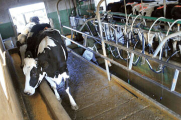 Leche: auguran suba del consumo y precios firmes para los tamberos (declaraciones del entrerriano Etchevehere)