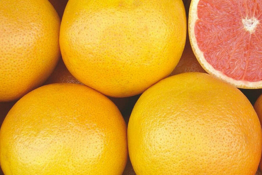 ¿Por qué cae el consumo de pomelos en el mundo? (datos de Entre Ríos)
