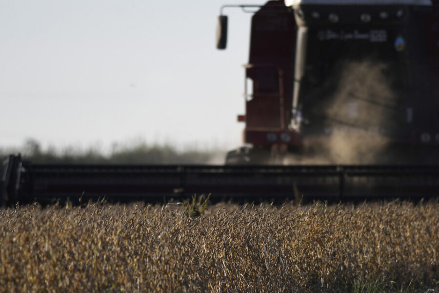 La cosecha de soja está casi finalizada, con un volumen final de 56 millones de toneladas (terminó la cosecha en Entre Ríos)