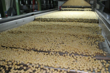 Pymes regionales cerraron importantes acuerdos comerciales con países de Asia (referencia a Entre Ríos)