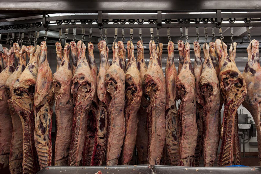 Cuota Hilton: cuáles son las provincias que ganaron con el reparto y las que perdieron participación (datos sobre Entre Ríos)