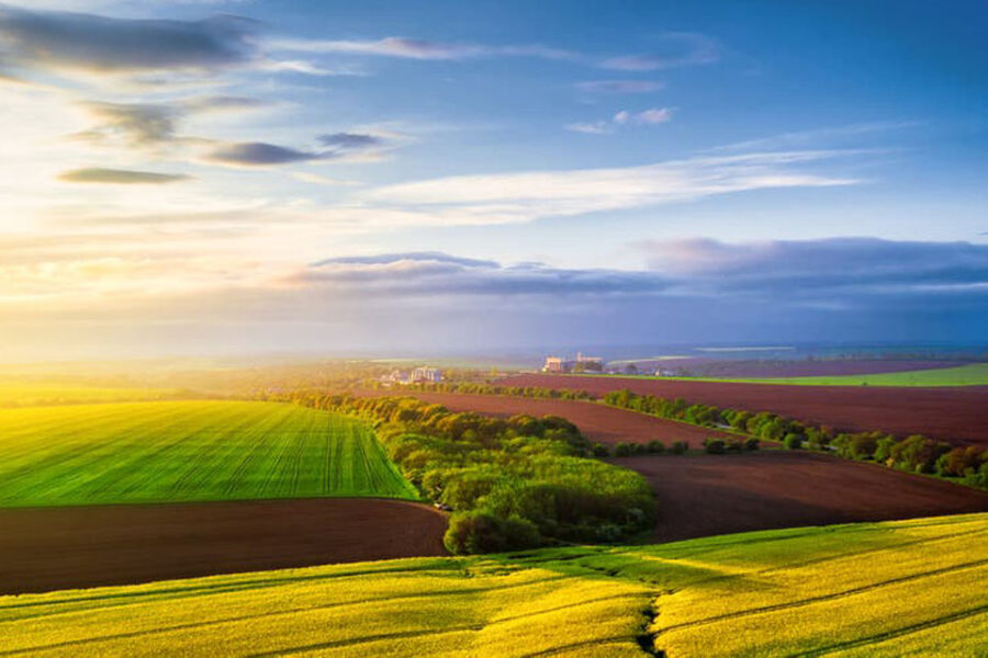 Salto de calidad: el acuerdo Mercosur-Unión Europea abre una nueva etapa para el agro (mención a Entre Ríos)