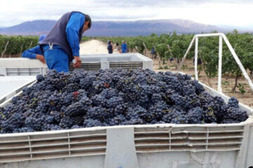Las economías regionales, a la espera de reformas estructurales (mención a industria entrerriana)