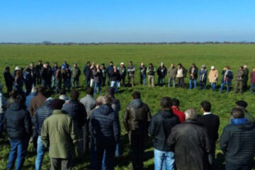 Los CREA de Argentina y Uruguay realizaron su primera gira técnica binacional (visita a campos entrerrianos)