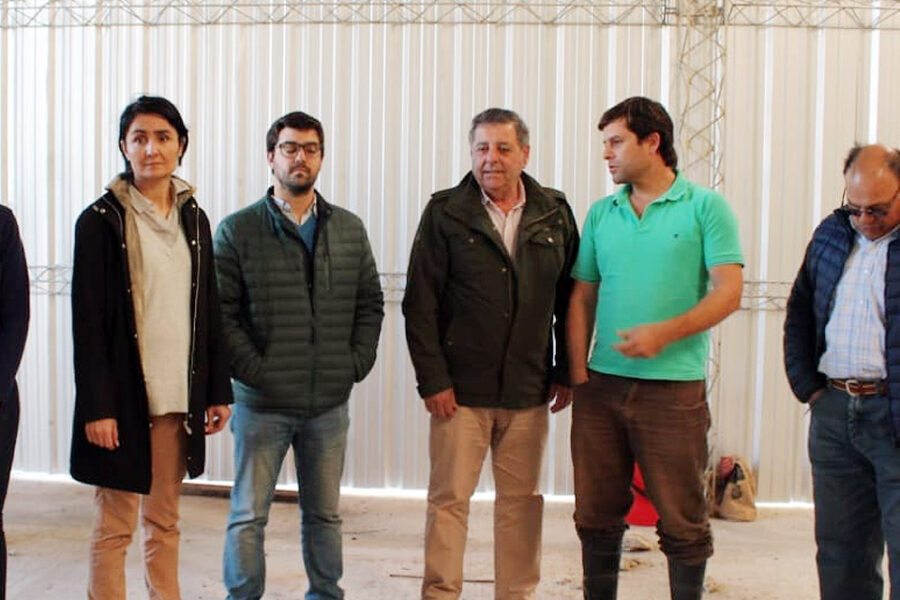 La candidata antiaborto ahora suma para pañuelos verdes