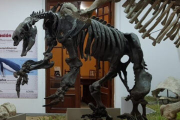 Entre Ríos: un museo busca promover el cuidado de la naturaleza