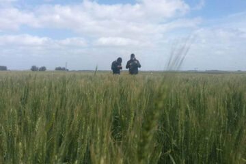 Según un informe oficial, hay un leve retroceso en las reservas hídricas (condiciones en Entre Ríos)