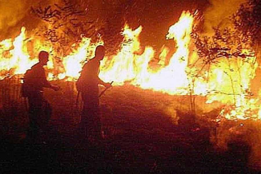 Incendio en el Amazonas: unos 400 bomberos argentinos se ofrecieron para combatir las llamas (hay entrerrianos)