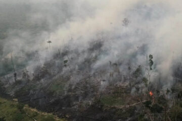 El humo de los incendios en el Amazonas ya cubre a más de la mitad del país y llegaría a Buenos Aires (llega a Entre Ríos)