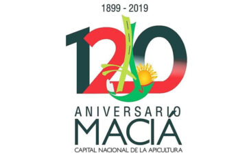 Vestir de verde y blanco