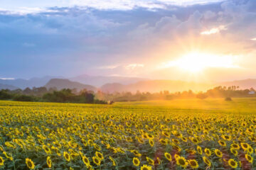 20 escapadas para disfrutar la primavera 2019 (ciudades entrerrianas recomendadas)