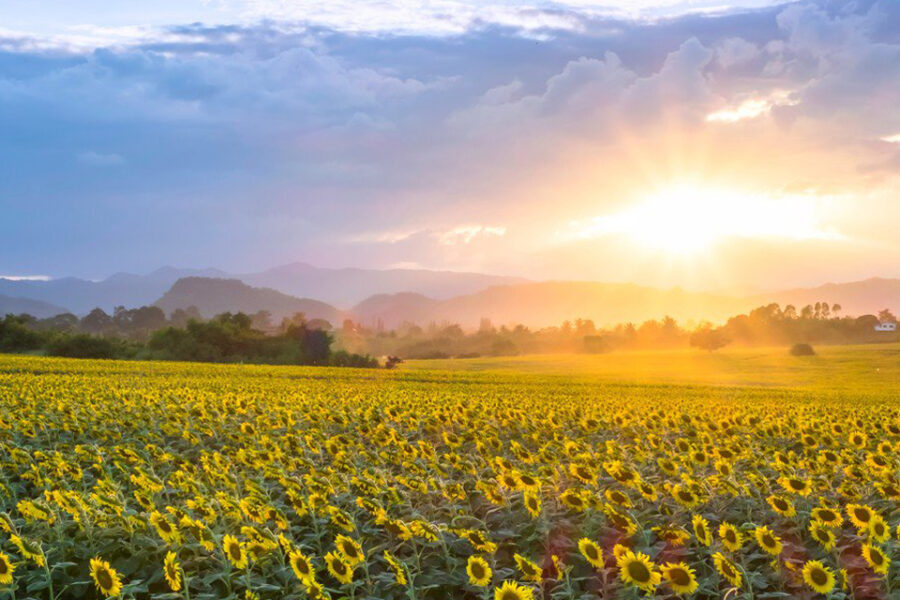 20 escapadas para disfrutar la primavera 2019 (ciudades entrerrianas recomendadas)