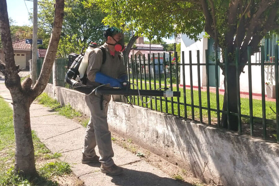 Gualeguaychú es la ciudad con más casos de dengue