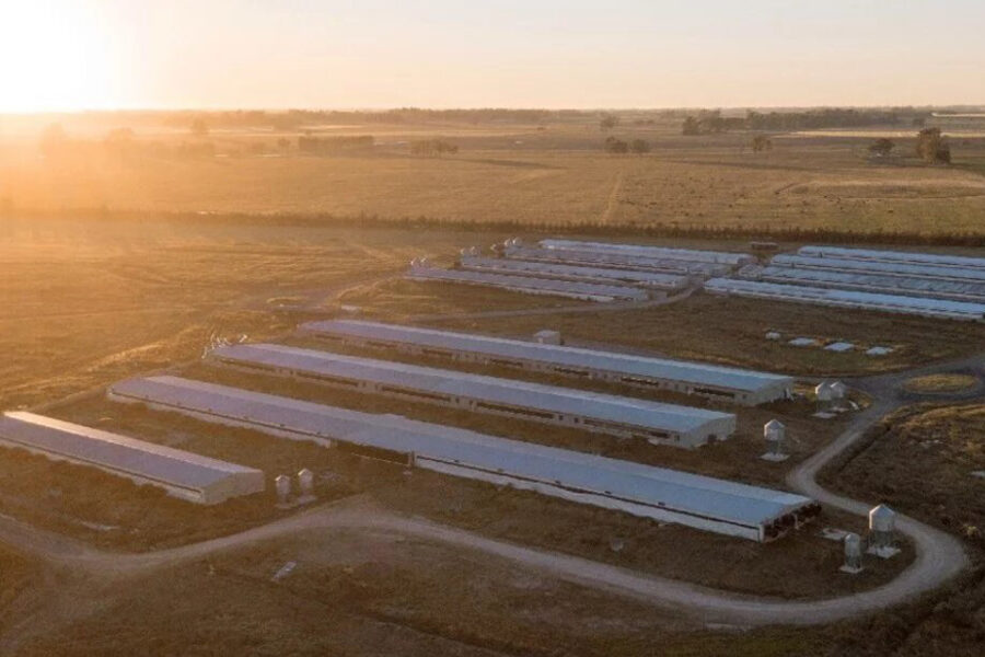 El “tope” para las Pymes Agro pone un “tope” al desarrollo del interior (ejemplo de Entre Ríos)