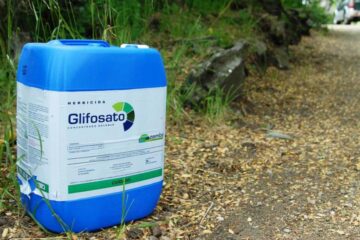 Glifosato: una investigación argentina confirma su peligro (referencia a Entre Ríos)