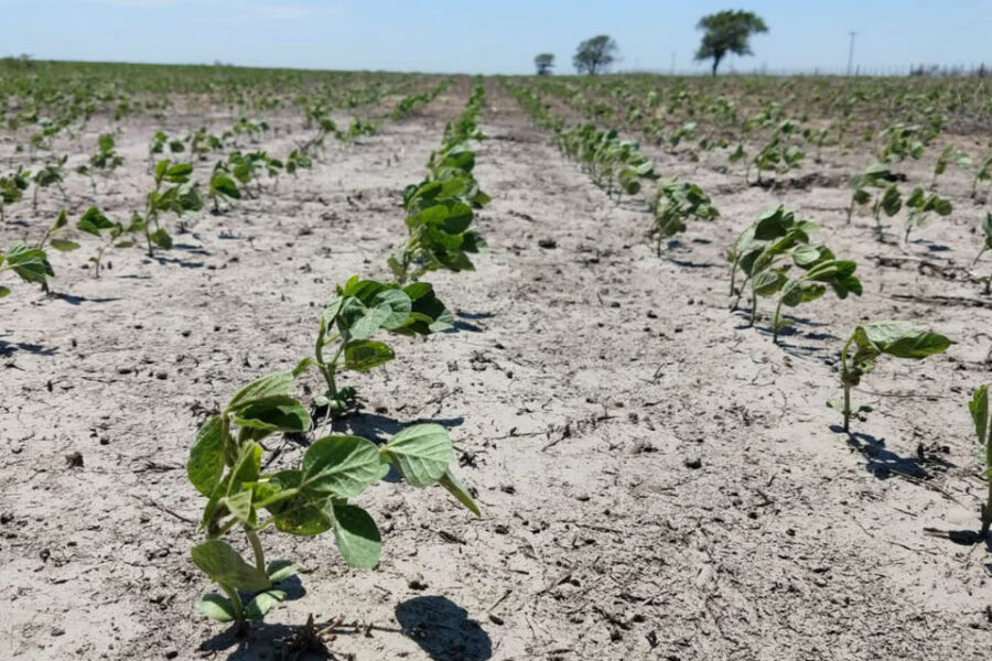 Siguen escasas las reservas de humedad, pero observan una mejora (lluvias en Entre Ríos)