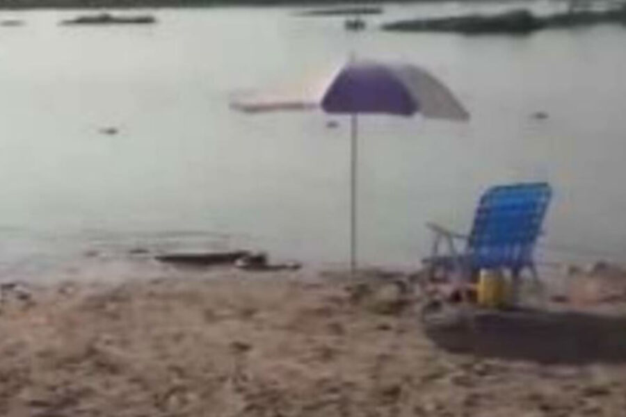 Entre Ríos: una anaconda apareció en un balneario y causó pánico a los turistas