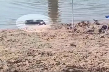 Una “anaconda amarilla” apareció en una playa de Entre Ríos y causó pánico entre los turistas