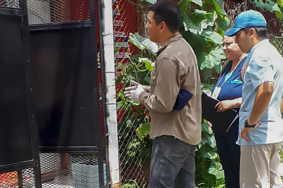 Alerta por una enfermedad que es común en animales