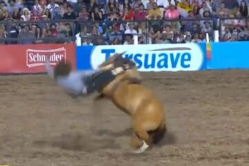 Festival de Jesús María: un jinete está internado en grave estado tras caer del caballo (es de Entre Ríos)