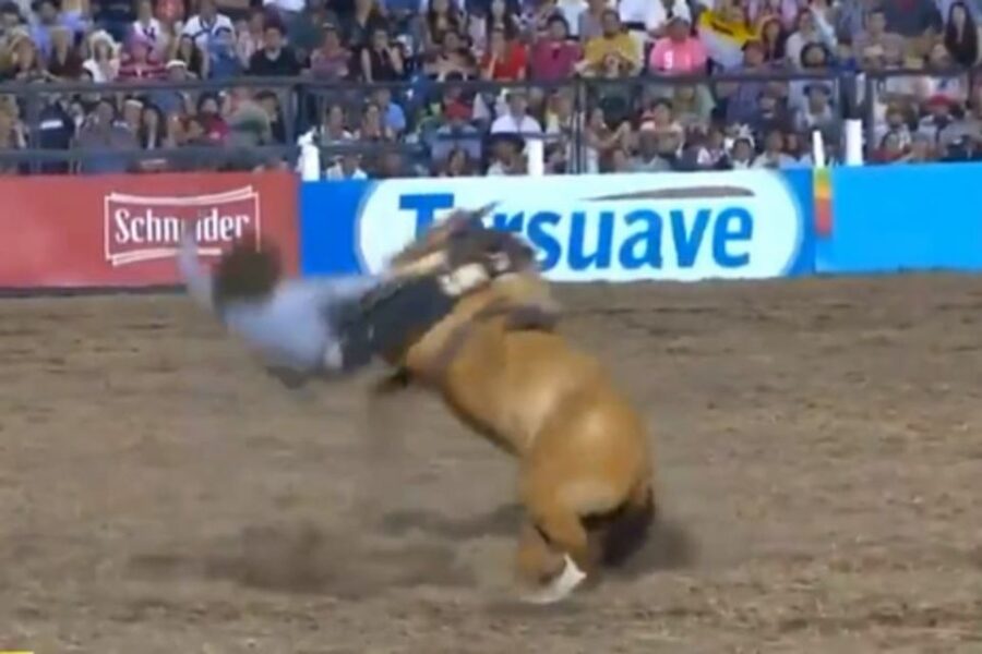 Festival de Jesús María: un jinete está internado en grave estado tras caer del caballo (es de Entre Ríos)