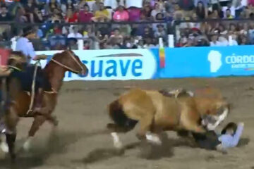 Dos jinetes se accidentaron en Jesús María (uno es entrerriano)