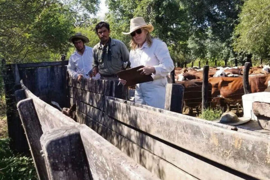 La bioquímica que abandonó el laboratorio para vender carne de exportación (nexo con Entre Ríos)