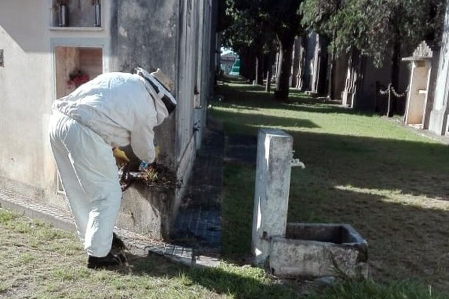 Continúa el programa municipal de fumigación y desinfección