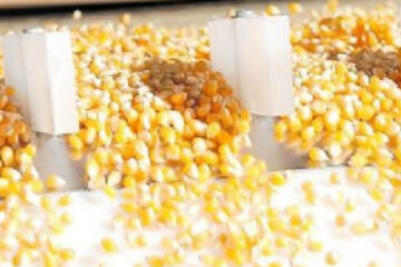 Un alivio para las economías regionales (entrerriano valora cambios en retenciones)