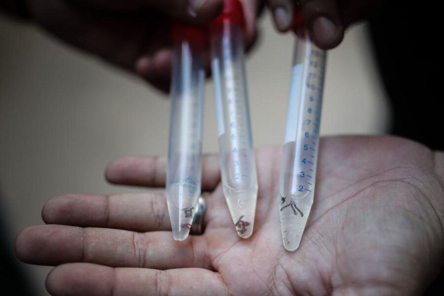 Cambiemos pide que Provincia también se ocupe del dengue