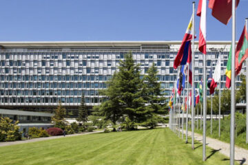 La OMS reacciona ante malos rumores