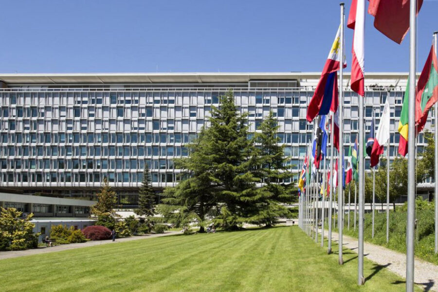 La OMS reacciona ante malos rumores