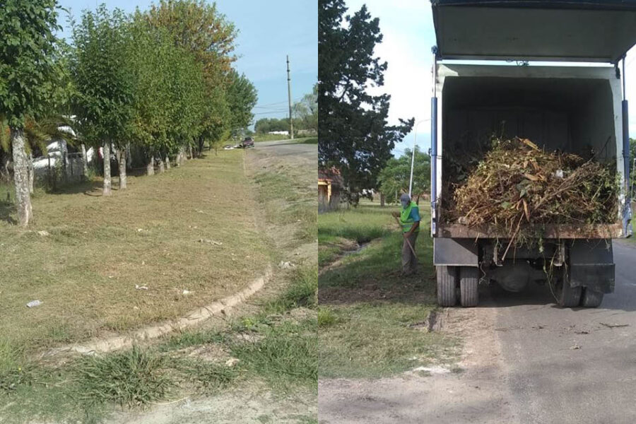 Desagotes y desmalezado