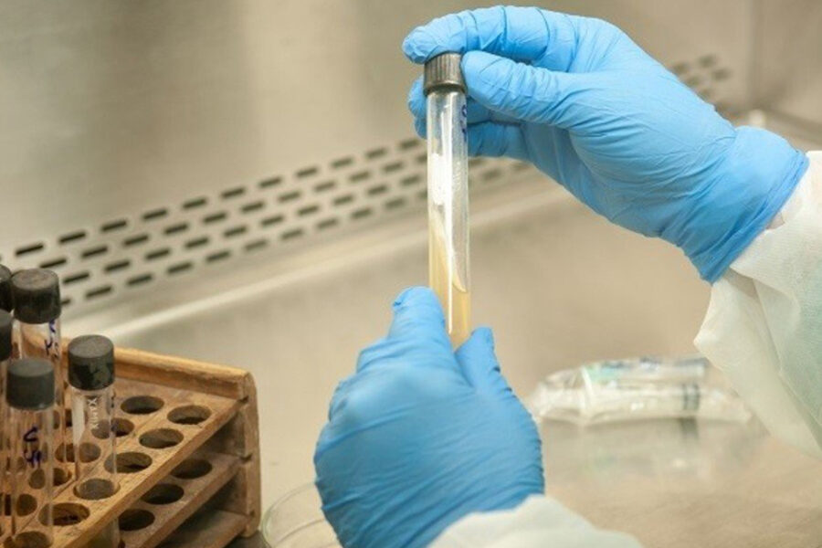 Coronavirus: 5 muertes y 103 nuevos casos suman 4783 infectados en el país (contagiados de Entre Ríos)