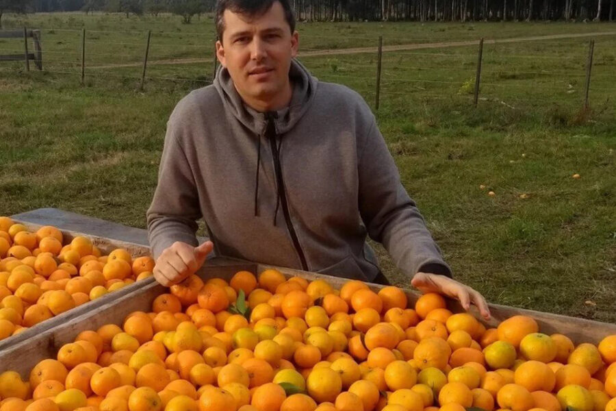 En Entre Ríos preocupan las cuadrillas que llegan para la cosecha de cítricos