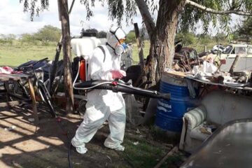 Se fumiga contra el dengue