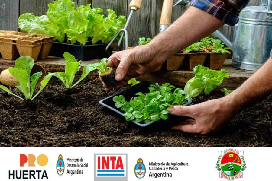 Invitación al Programa ProHuerta