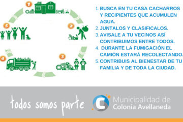 Tareas de fumigación y descacharrización