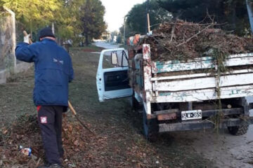 Trabajos de corte de pasto y limpieza
