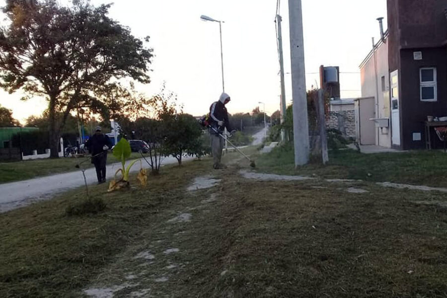 Tareas de mantenimiento y limpieza