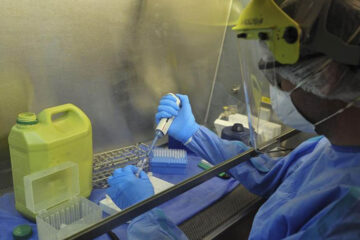 Coronavirus: con 637 nuevos casos suman 16.851 infectados en el país (referencia a Entre Ríos)