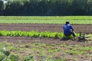 Productores entrerrianos se capacitaron on line sobre Buenas Prácticas Agrícolas