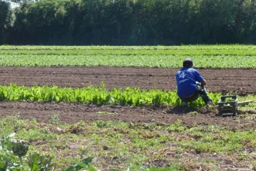 Productores entrerrianos se capacitaron on line sobre Buenas Prácticas Agrícolas