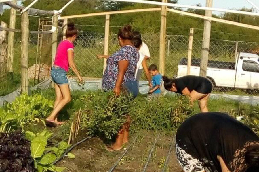 Huerta y vivero orgánico