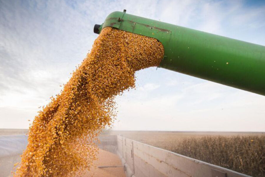 De compañía familiar líder, a acumular deudas y entrar en default (Vicentin le debe al Banco de Entre Ríos)