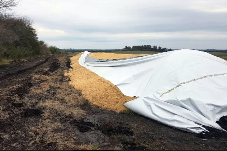 Sospechan que grupos K rompieron silobolsas, quemaron campos y atacaron chacareros (hechos en Entre Ríos)