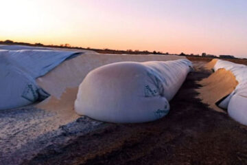 CRA criticó el “silencio cómplice” de Alberto Fernández ante reiterados ataques a silobolsas (declaraciones de entrerriano)