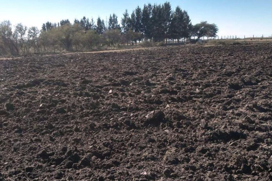 Trabajos en el Cementerio Municipal