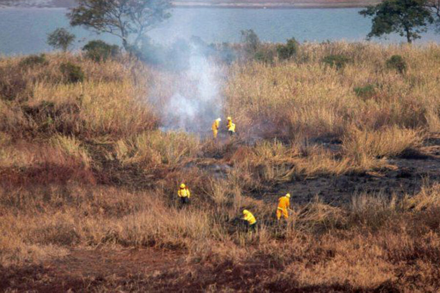 El Ministerio de Ambiente fue aceptado como querellante por los incendios en las islas del río Paraná (causa en Entre Ríos)