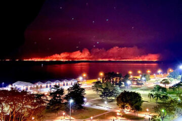 Los productores insisten en que no tiene sentido hacer quemas en las islas durante el invierno (declaraciones de ganaderos entrerrianos)